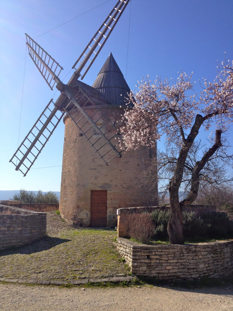 Beginning of Spring in Provence