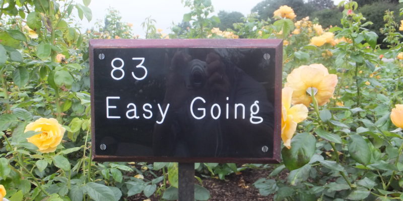 easy going sign