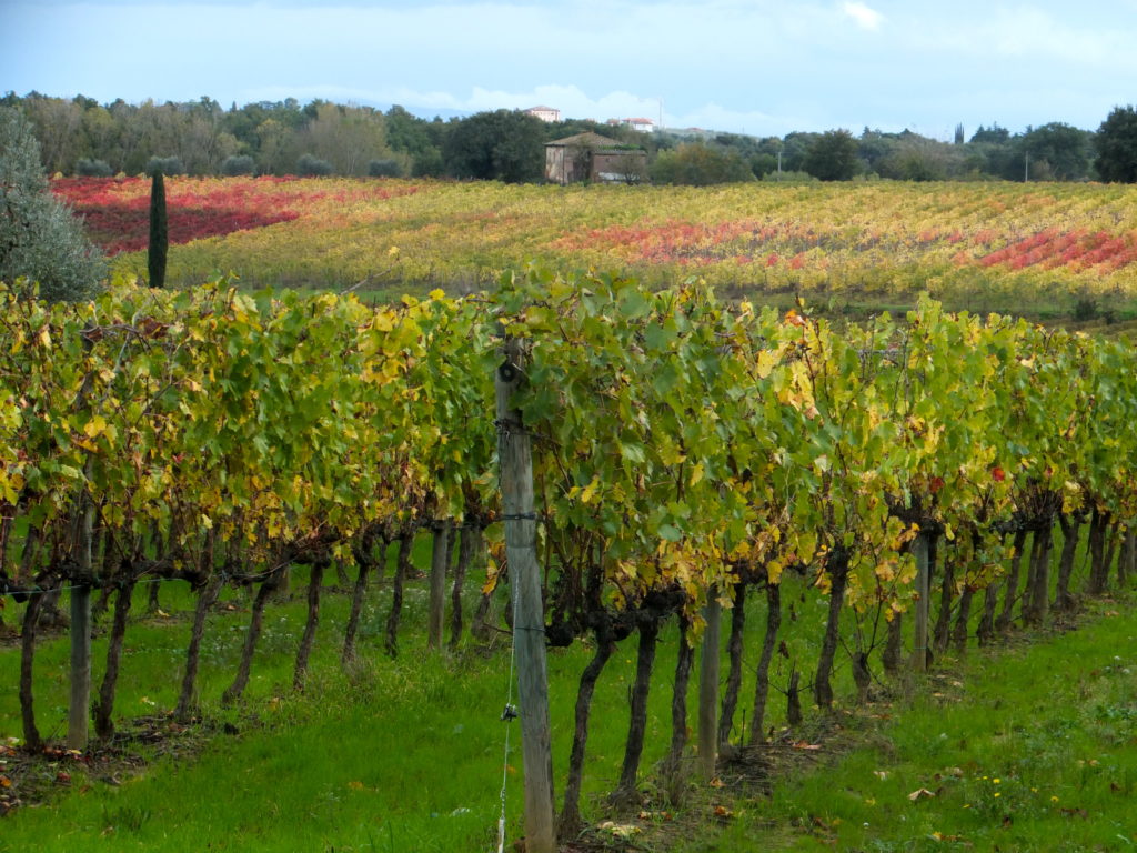 Tuscany, Italy
