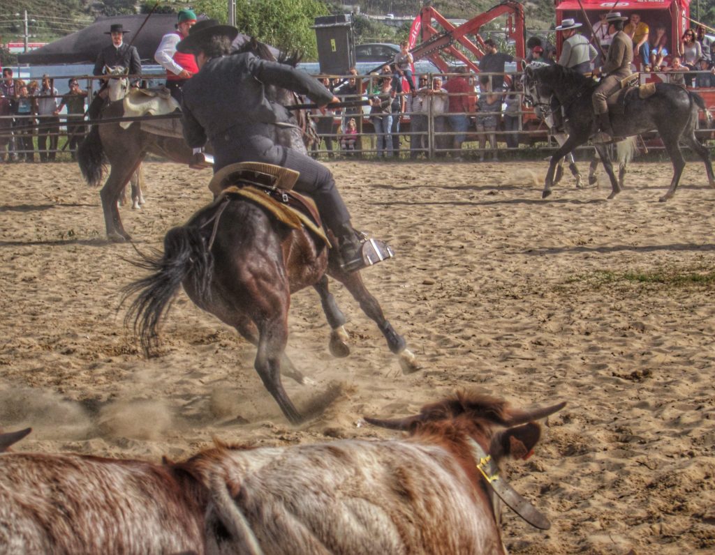 bullfight-in-portugal