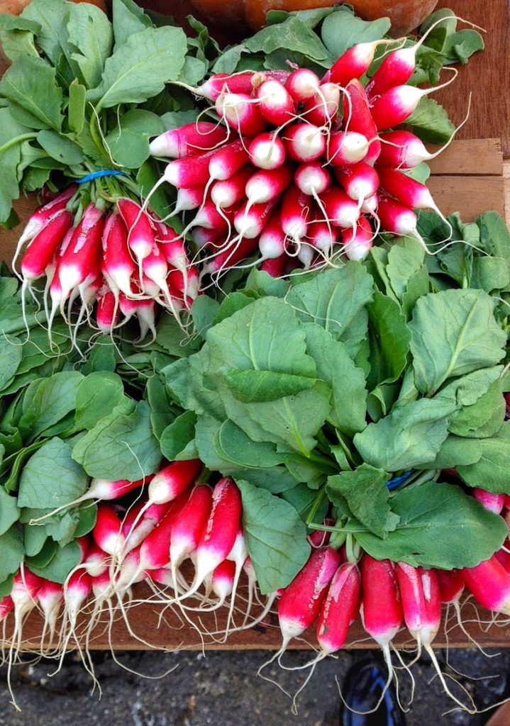 aix-en-provence-market-radishes